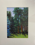 Meadow of Pines and Spruce” – 5”x7” Matted Giclée Print

By Cloudcroft, New Mexico Artist Lyn Canham