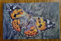 Painted Lady Butterfly Notecard