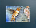 Hummingbird and Blossoms Print