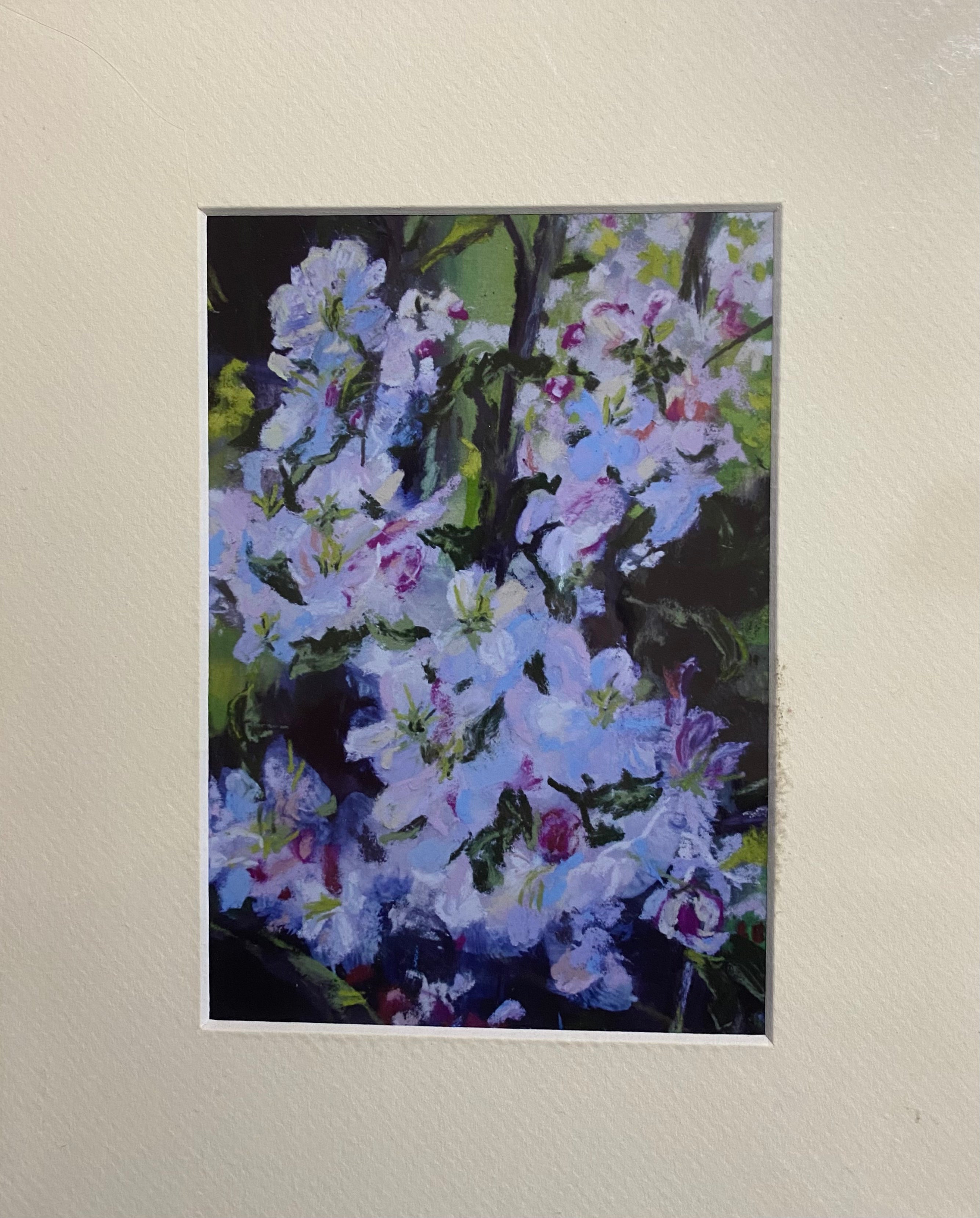 “Jonagold Apple Blossoms” – 5”x7” Matted Giclée Print

By Cloudcroft, New Mexico Artist Lyn Canham